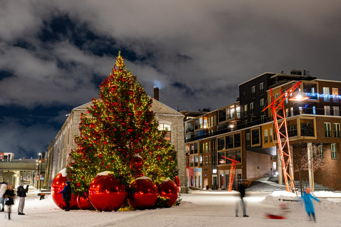 1. advent Noblessneris!